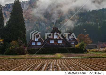 World heritage Shirakawato late autumn 22916629