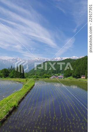 Shinshu Hakuba village blue ogre (in the blue) Settlement in the spring traditional building group Confederate mountainous village with rice terraces Shinshu Hakuba village blue ogre (in the blue) Settlement in the spring traditional building group Confederate mountainous village with rice terraces 22917301