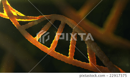 Digital 3d Model Of Dna Structure Stock Illustration