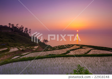 白米Senjida晚上風景 白米Senjida晚上風景 22918148