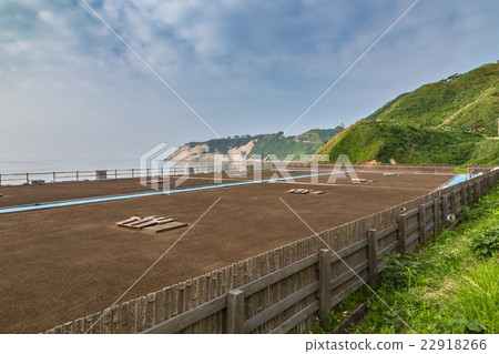 Wajima Shioda 22918266