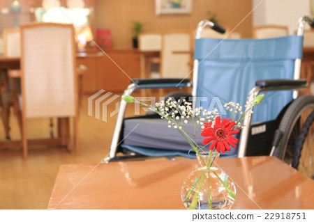 輪椅和花瓶 輪椅和花瓶 22918751