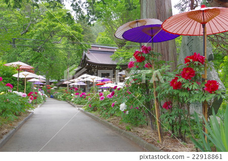 Ina Shinshu內寺（Otsujoji）寺在5月中旬被稱為佛教寺廟 22918861