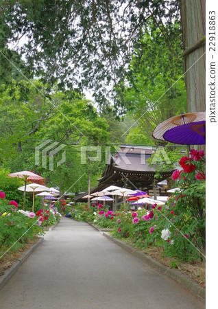 Temple of Ina Shinshu Inner Temple (Otsujoji) famous as Buddhist temple around mid May 22918863