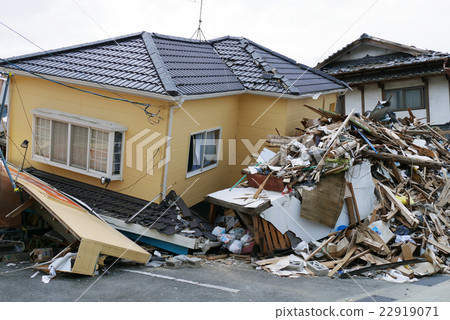 Afflicted housing 22919071