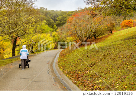 Woman with pram in the park 22919136