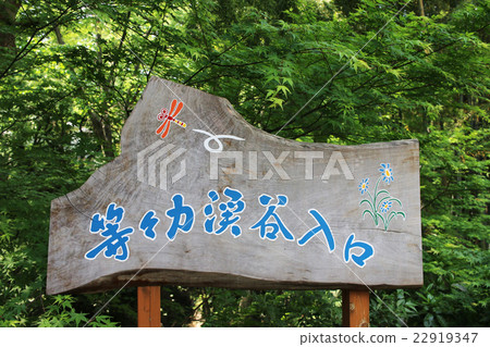 Isenga Valley - Setagaya ku, Tokyo 22919347