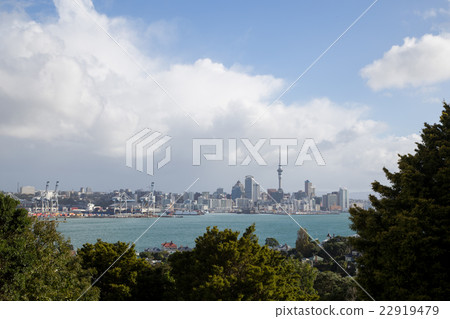 Auckland skyline seen from Devonport Auckland skyline seen from Devonport 22919479