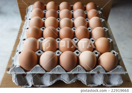 Eggs in paper tray Eggs in paper tray 22919668