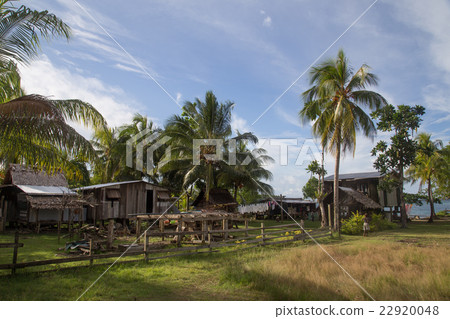 Local village on the Solomon Islands 22920048