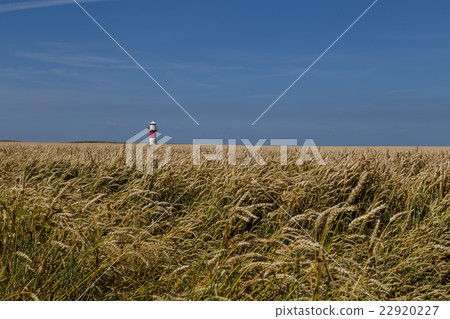 Lighthouse in the fields Lighthouse in the fields 22920227