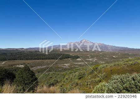 View of Mount Ruapehu 22920346