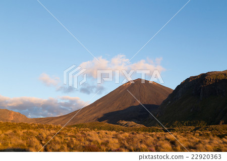 View of Mount Ngauruhoe 22920363