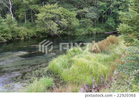 Brook of Senjogahara 22920368