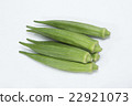 White background Okra vegetables 22921073