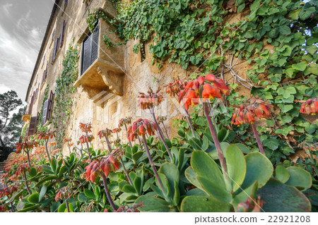 Old Majorca traditional house with flowers Old Majorca traditional house with flowers 22921208