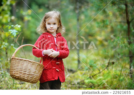 Cute little girl picking mushrooms Cute little girl picking mushrooms 22921655