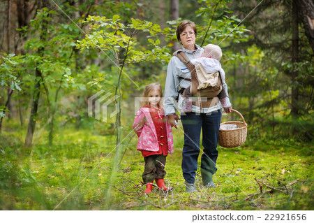 Grandmother and her girls picking mushrooms Grandmother and her girls picking mushrooms 22921656