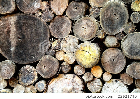 Pile of wood logs, stack of old tree trunk 22921789