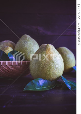 Grapefruits 22922431