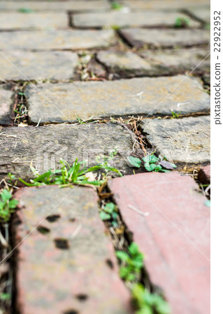 地面鵝卵石磚 22922952