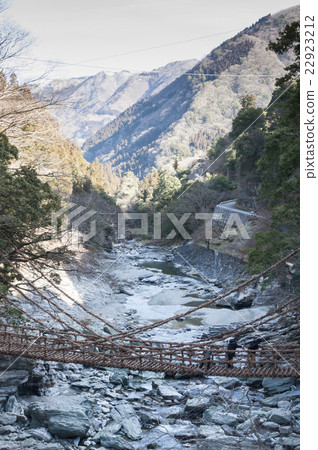 Kazura Bridge in Iya 22923212