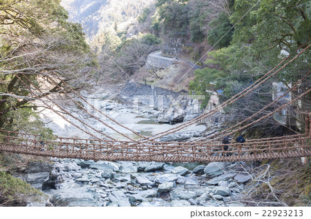 Kazura Bridge in Iya 22923213