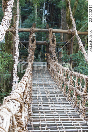 Kazura Bridge in Iya 22923215