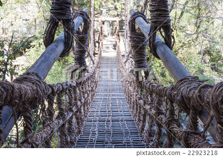 Kazura Bridge in Iya 22923218