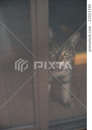 我想離開窗戶 22923390