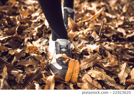 Walking in autumn 22923620