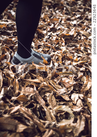 Walking in autumn 22923648