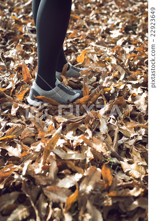 Walking in autumn 22923649