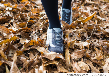 Walking in autumn 22923657