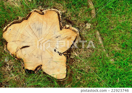 Stub on coast of a gulf 22923746