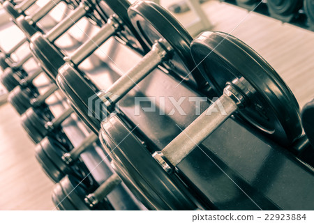 Set of Fixed-weight dumbbells 22923884