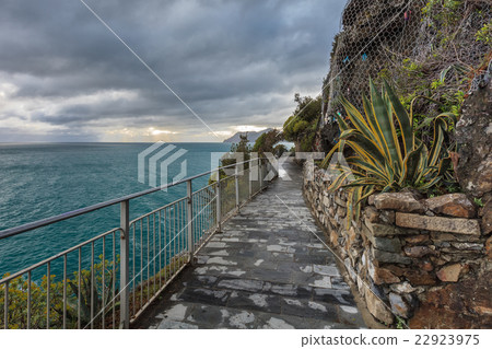 Cinque Terre - road of love Cinque Terre - road of love 22923975