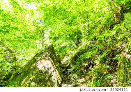 [Yamanashi] Nishizawa Valley/Trekking Course 22924111