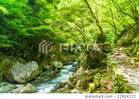 [Yamanashi] Nishizawa Valley/Trekking Course 22924112