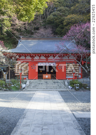 Ebana Tenjin公司的梅花 22925455