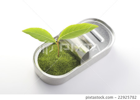 Germination from cans 22925782