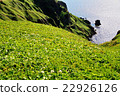 Rishiri Rebunsu Tour - Row 22926126