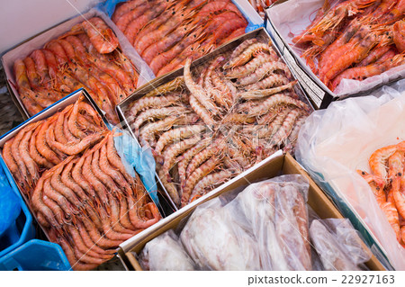 Chilled Mediterranean seafoods close up on counter 22927163