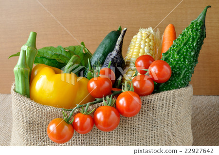 Summer vegetable Summer vegetable 22927642