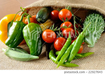 Summer vegetable Summer vegetable 22927643