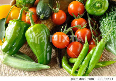 Summer vegetable Summer vegetable 22927644
