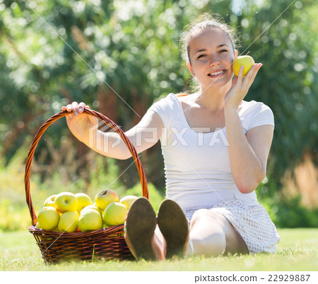 Girl with a basket of apples outdoor 22929887