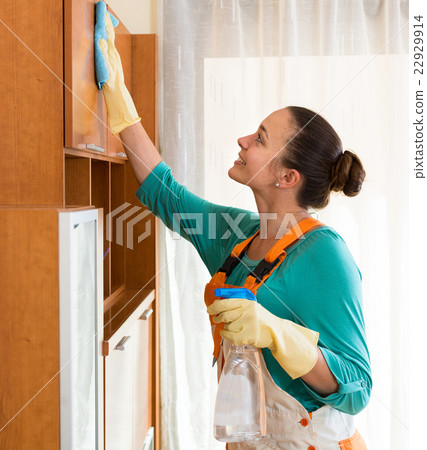 professional cleaner cleaning the office professional cleaner cleaning the office 22929914