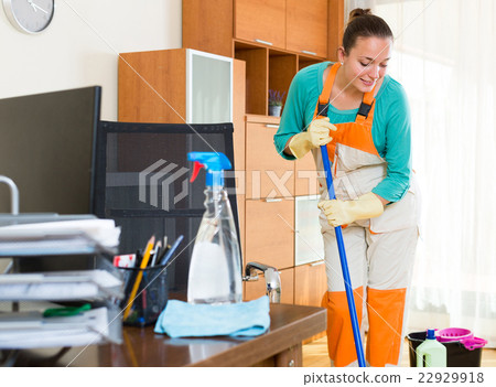 professional cleaner cleaning the office professional cleaner cleaning the office 22929918