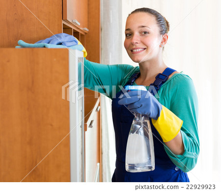 professional cleaner cleaning the office professional cleaner cleaning the office 22929923